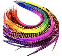 Feather Headz Beautiful Real Feathers: 21 Rainbow Feather Hair Extensions Dyed 100% Real Rooster Feathers that can be Curled, Straightened and Blow-dried