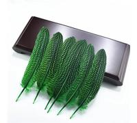 feather， Pheasant And Spotted Pearl Chicken Feathers Multicolor 5-7 inch 100 pcs(Grass Gn)