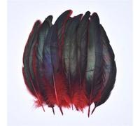 feather， Pheasant Rooster Feathers 50 Pcs Multicolor Fly Tying Crafts(Red)