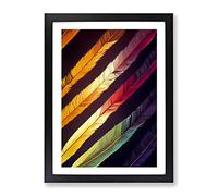 Feather Stripes Framed Print | A3 Black Framed Wall Art | Ready to Hang | Modern Nature Picture | Living Room Bedroom Lounge Office