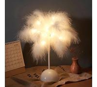 Feather Table Lamp, Pink or White Fluffy Ostrich Feather for Girls Room, Elegant LED Princess Bedside, Small Lampshade for Bedroom Wedding Décor, Battery/USB Powered(White)