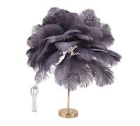 Feather Table Lamp with 3 Color Dimmable Touch Switch, USB Plug in, Tan - Romantic Modern Design, Low Voltage Power Supply, Ideal for Bedroom and Living Room (Grey with Black Inner Fleece)