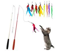 Feather Teaser Cat Toys 11pcs, with 2 Retractable Interactive Pet Fishing Rods, 5 Replaceable Colorful Feather Accessories and 4 Caterpillar Toys for Indoor Cat Boring Catcher Jumping Fun Practice
