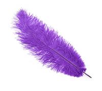 Feather Tickler Soft Sensory Toy for Couples Lightweight Flirting Prop Teasing Feather Wand for Foreplay Intimate Role Play Accessory Sexy Game Gift for Lovers Valentine’s Day Romantic Nights(Purple)