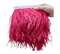 Feather Trim 1Meter Single Layer Feather Trim for Sewing Fringe for Wedding Party for Party Clothing(Color 8,10-15cm 1ply)
