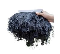 Feather Trim 1Meter Single Layer Feather Trim for Sewing Fringe for Wedding Party for Party Clothing(Color14,10-15cm 1ply)