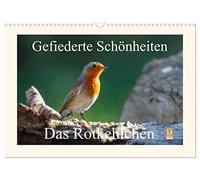 Feathered beauties - The robin UK-Version (Wall Calendar 2026 DIN A3 Landscape), CALVENDO 12 Month Wall Calendar