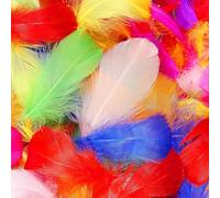 Feathers, 300 Pcs Coloured Feathers Natural Goose Feathers for DIY Dream Catcher Carnival Decorations/Hat/Vase/Mask, Fluffy & Soft, Small & Large,Costume Decoration