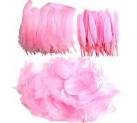 Feathers for Crafting, 250 Pcs 3 Size Natural Feathers White Black Yellow Pink Goose Feathers for DIY Dream Catchers Home Decor Wedding Party Decorations (Pink)