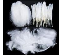 Feathers for Crafting, 250 Pcs 3 Size Natural Feathers White Black Yellow Pink Goose Feathers for DIY Dream Catchers Home Decor Wedding Party Decorations (White)