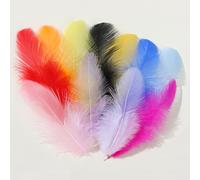 Feathers for Crafting,300 PCS Coloured Feather Colourful Feathers for Crafting Feather Craft Feathers Decorations Feather Fillers Feather for DIY Dream Catcher Carnival Decorations Hat Vase Mask