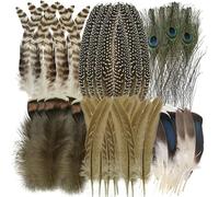 Feathers for Crafting, 48 PCS Feathers, 6 Different Shape Craft Feathers Included Peacock Feathers and Pheasant Feathers, to Making Feather Earrings Feather Headband Feather Trim