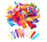 Feathers for Crafts 100PCS 6-12cm Natural Goose Feathers in Mixed Colours for DIY Projects, Home Decor, Wedding, Costume, and Art Embellishments