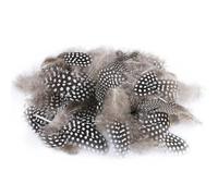 Feathers for Crafts, Natural Feathers, Decoration for Easter, 4.5-10 Cm Quail Eggs Decoration, Brown Guinea Fowl Feathers, Easter Decoration for DIY, Wedding, Dream Catcher, Headdress(200pcs)
