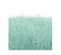 Feathers Fringe Trims 3meter Ostrich Feathers Trim Cloth Sideband Ostrich Feather Trims Clothing Wedding Feather Ribbon Sewing Decorati(Color25,6-8cm)