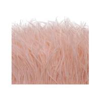 Feathers Fringe Trims 3meter Ostrich Feathers Trim Cloth Sideband Ostrich Feather Trims Clothing Wedding Feather Ribbon Sewing Decorati(Color10,6-8cm)