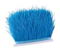 Feathers Fringe Trims Fluffy Colored Ostrich Feather Trim Ribbon 8-10cm Plumes Sewing Trimmings for Dress Clothing Decoration Crafts(Color22,1M)