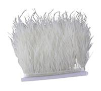 Feathers Fringe Trims Fluffy Colored Ostrich Feather Trim Ribbon 8-10cm Plumes Sewing Trimmings for Dress Clothing Decoration Crafts(Color13,2M)