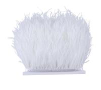Feathers Fringe Trims Fluffy Colored Ostrich Feather Trim Ribbon 8-10cm Plumes Sewing Trimmings for Dress Clothing Decoration Crafts(Color2,1M)