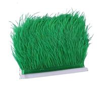 Feathers Fringe Trims Fluffy Colored Ostrich Feather Trim Ribbon 8-10cm Plumes Sewing Trimmings for Dress Clothing Decoration Crafts(Color4,2M)