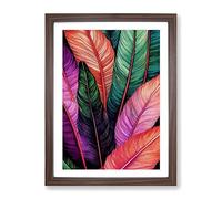Feathers In Colour No.2 Framed Print | A3 Walnut Framed Wall Art | Ready to Hang | Modern Nature Picture | Living Room Bedroom Lounge Office