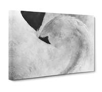 Feathers Of A Swan Canvas Print | Gallery Wrapped 30mm Frame Wall Art | 30x20 inches | Ready to Hang | Modern Bird Picture | Living Room Bedroom Lounge Office