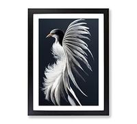 Feathers Of The Bird Framed Print | A3 Black Framed Wall Art | Ready to Hang | Modern Nature Picture | Living Room Bedroom Lounge Office