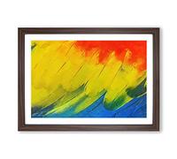 Feathers of The Parrot in Abstract Framed Print | A2 Walnut Framed Wall Art | Ready to Hang | Abstract Animal Picture | Living Room Bedroom Lounge Office