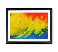 Feathers Of The Parrot In Abstract Modern Art Framed Print | A2 Black Framed Wall Art | Ready to Hang | Abstract Animal Picture | Living Room Bedroom Lounge Office