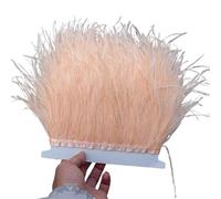 Feathers Trims Fringe 1/5/10meter Ostrich Feather Trim Dress for Women Soft Plumes Fringes Wedding Skirt Decoration Party Cloth Ribbon(Blue,1meter)