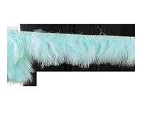 Feathers Trims Fringe 1 Meter Fluffy Feathers Trim Fringe Ribbon 10-15cm Feather on Tape Fringes Sewing Party Clothing Dress Decoration(Mint Green)