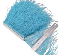 Feathers Trims Fringe 2/5/10Yards Ostrich Feather Ribbon Ostrich Feathers Trim Fringe Clothing Decoration(Light Blue,5 Yards)