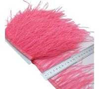Feathers Trims Fringe 2/5/10Yards Ostrich Feather Ribbon Ostrich Feathers Trim Fringe Clothing Decoration(Color3,2 Yards)