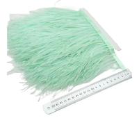 Feathers Trims Fringe 2/5/10Yards Ostrich Feather Ribbon Ostrich Feathers Trim Fringe Clothing Decoration(Mint Green,2 Yards)