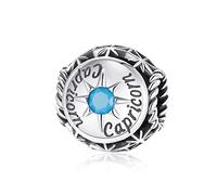 FeatherWish 925 Sterling Silver Zodiac Star Sign Constellation Round Bead Charm With Coloured Cubic Zirconia Compatible With Pandora Bracelet (Capricorn)
