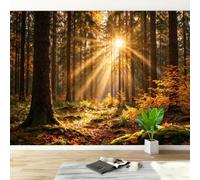 Feature Wall Mural Sunbeam Autumn Forest Photo Wallpaper Non-Woven Matt | Wipeable Panoramic Mural Wallpaper 200x140 cm 3D Maple Leaf Landscape Wall Art for Living Room Bedroom Home Office M316