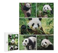 Featured Design: Panda Collage Eating, Climbing, Standing, 500 PCS, Challenging Puzzle for Adults, Winter Gift, with A Decorative Finished Picture