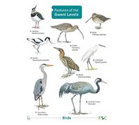 Features of the Gwent Levels