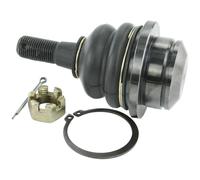 Febest 0220-062 Outer Rear Upper Ball Joint Fits Nissan Armada Patrol 555011LB0A