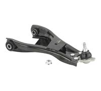 FEBEST 0224-D10LH Suspension arm