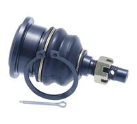 Febest 0320-RR1R Rear Ball Joint Fits Acura Honda Elysion Rdx 52390SJK013