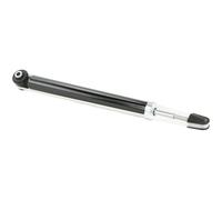 Febest 12656601R Rear Shock Absorber Fits Hyundai Getz 553101C000 553101C200