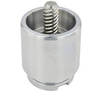 FEBEST 2176-TTGR Piston, brake caliper