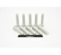 FEBEST 2184-001-PCS10 Wheel Stud