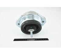 Engine mount Front Hydro Mount BMM-X5 FEBEST for BMW X5
