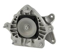Febest BZM-2054WDR Rear Automatic Transmission Mount Fits Mercedes C-Class Cls