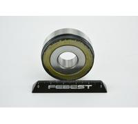 FEBEST LM-30302 Repair Kit, stub axle