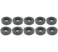 FEBEST RINGFL-024-PCS10 Seal Ring, injector