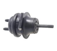 Febest TM-JCE10FR Front Engine Mount Fits Lexus Toyota Altezza Gita Aristo Gs Is