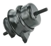 Febest TM-UCF30 Front Engine Mount Fits Lexus Ls 1236150170